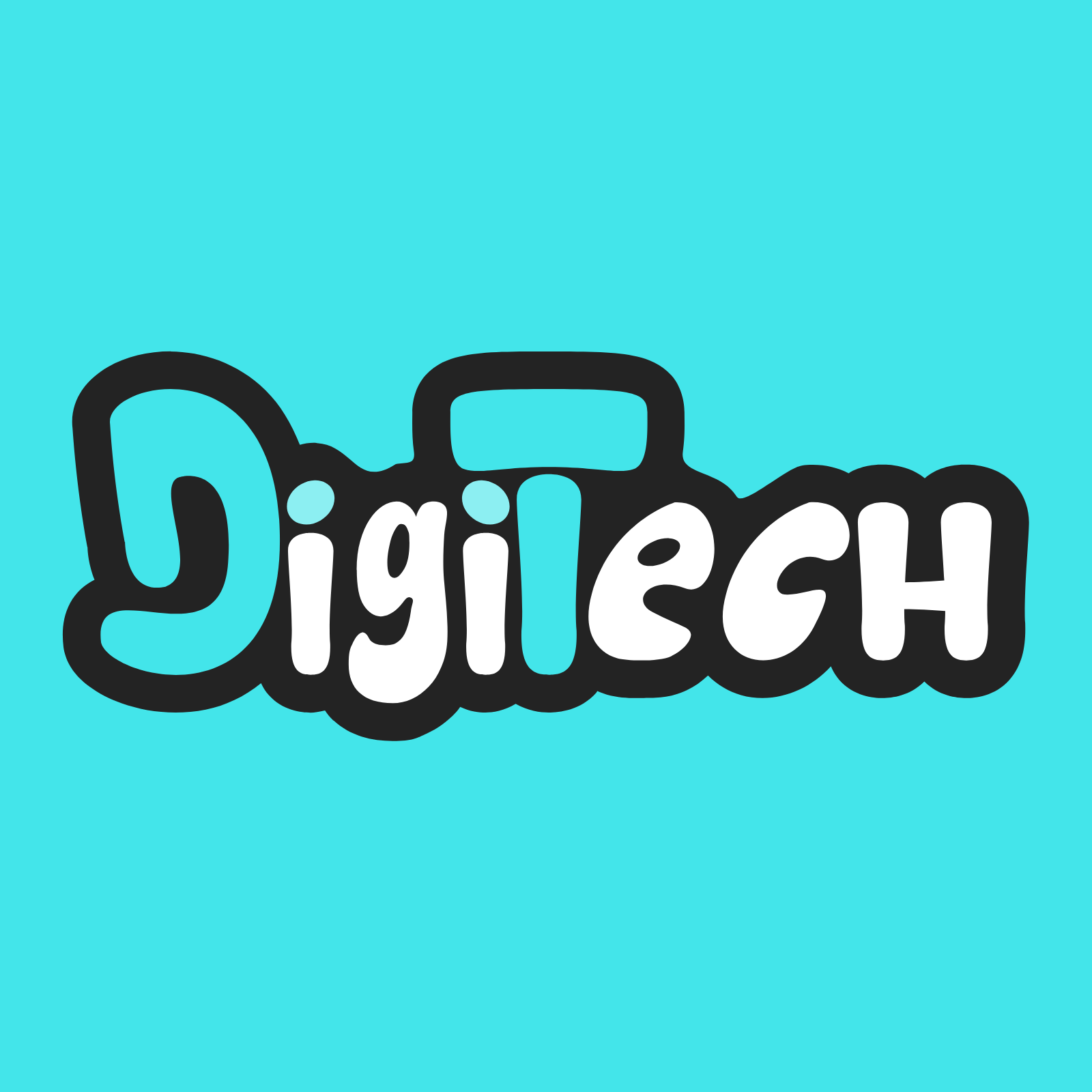 DigiTech Store Logo